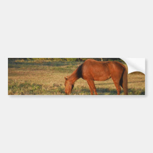 Brown Horse med Gräs Träd Bildekal