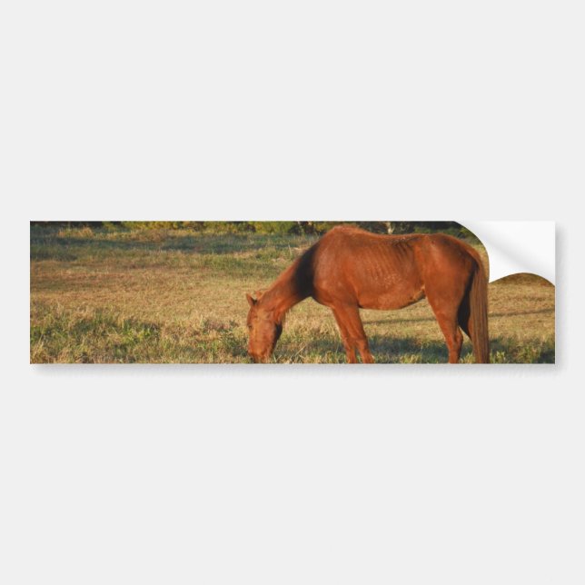 Brown Horse med Gräs Träd Bildekal (Framsidan)