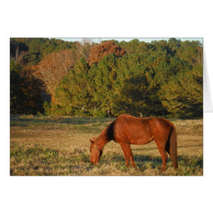 Brown Horse med Gräs Träd Hälsningskort