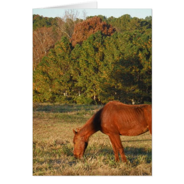 Brown Horse med Gräs Träd Hälsningskort (Framsidan)