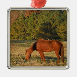 Brown Horse med Gräs Träd Julgransprydnad Metall