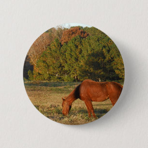 Brown Horse med Gräs Träd Knapp