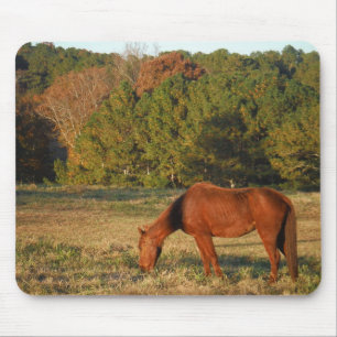 Brown Horse med Gräs Träd Musmatta
