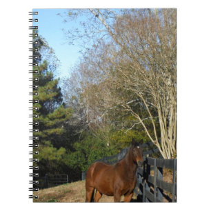 Brown Horse mot ett stängsel Anteckningsbok Med Spiral