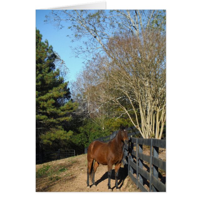 Brown Horse mot ett stängsel Hälsningskort (Framsidan)