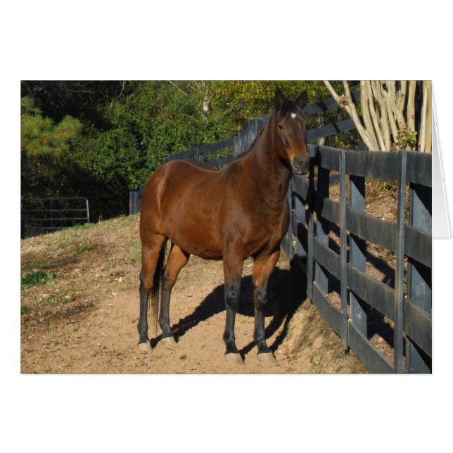 Brown Horse mot ett stängsel Hälsningskort (Framsidan Horizontal)