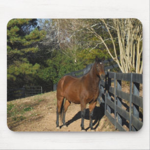 Brown Horse mot ett stängsel Musmatta