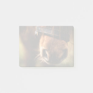 Brown Horse Nose Photo Cute och Rustic Post-it Block