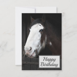 Brown Horse på Farm Grattis på födelsedagen Card Kort
