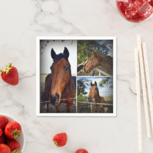 Brown Horse Photo Collage, Pappra blöjor Pappersservett