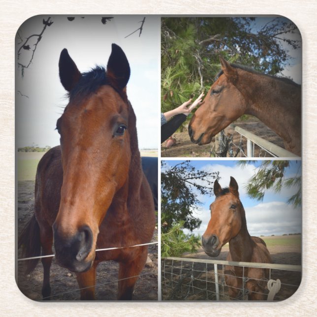 Brown Horse Photo Collage, Sturdy Papper Underlägg Kvadrat (Framsidan)
