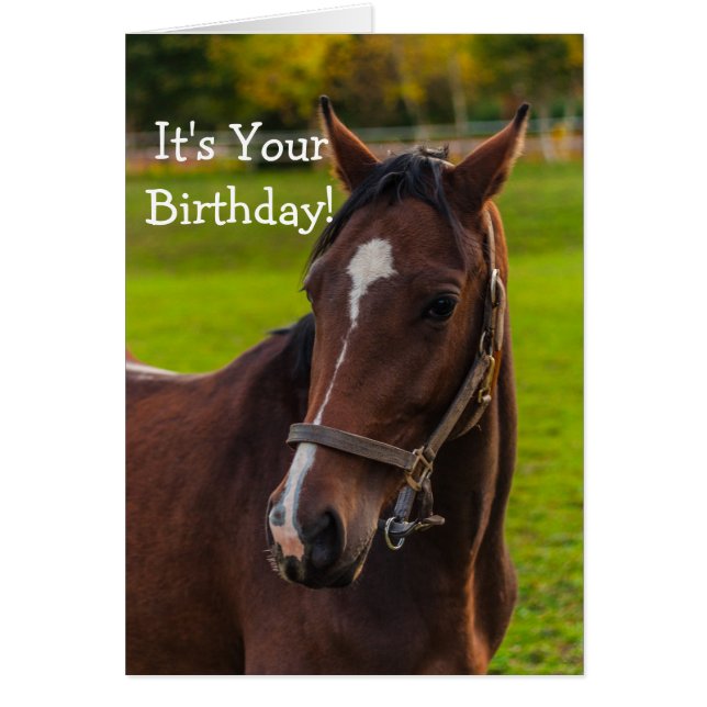 Brown Horse Porträtt OBS Kort (Framsidan)