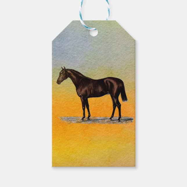 Brown Horse Presentetikett (Framsidan)