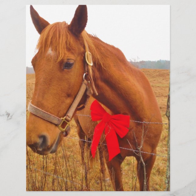 Brown Horse Red Bow (Framsida)