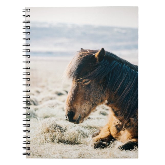 BROWN HORSE SITTA PÅ GRÄS NÄRA BEACH ANTECKNINGSBOK (Framsidan)