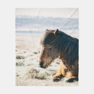 BROWN HORSE SITTA PÅ GRÄS NÄRA BEACH FLEECEFILT