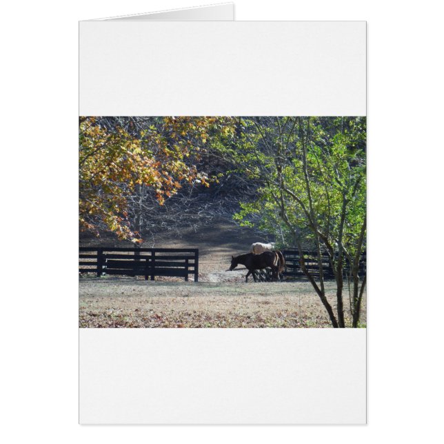 Brown Horse som går genom Fence Hälsningskort (Framsidan)
