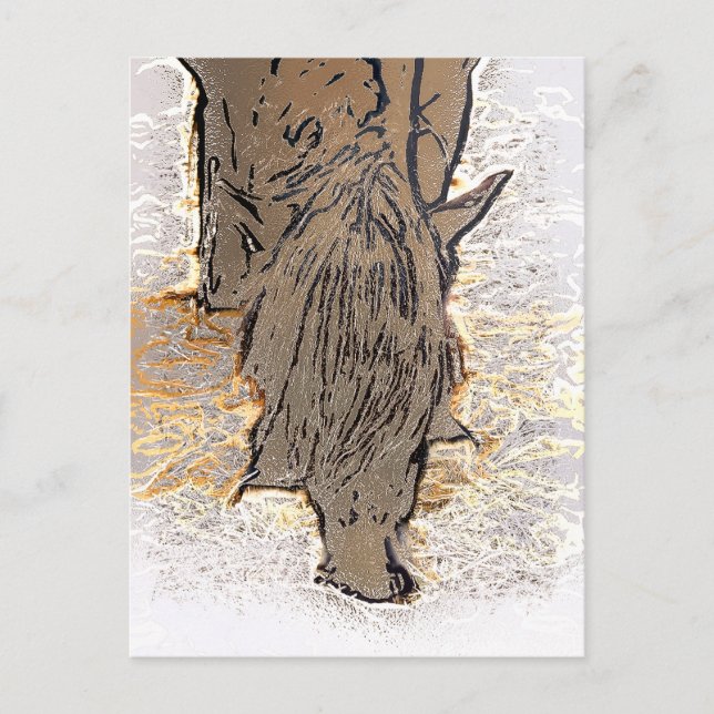 BROWN HORSE VYKORT (Framsida)