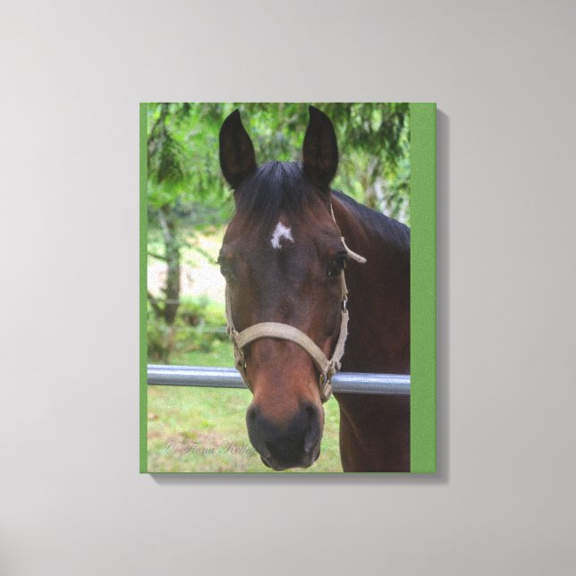 Brown Horse Wrapped Canvas (Framsida)