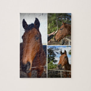 Brown Horses Photo Collage Pussel