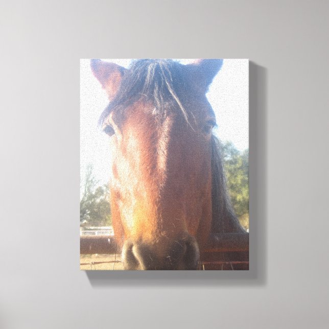 Brown Horsey Kärlek Canvas (Framsida)