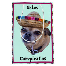 Brown Hund Ansikte Chug Photo