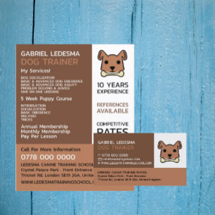 Brown Hund, Hund Trainer Advertising Reklamblad