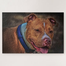 Brown Hund Photo