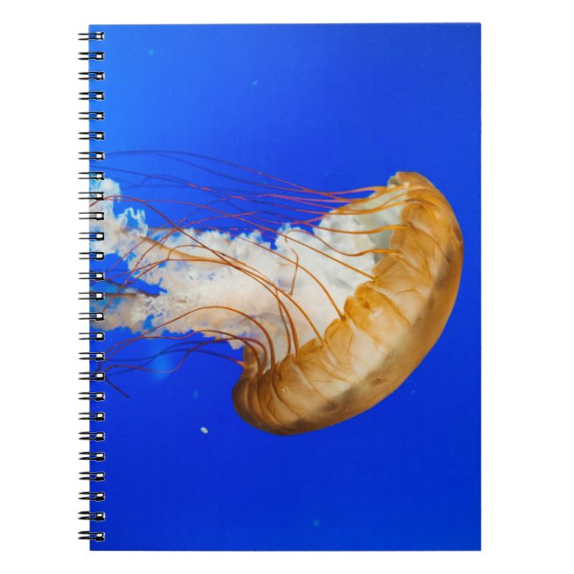 BROWN JELLYFISH ANTECKNINGSBOK (Framsidan)
