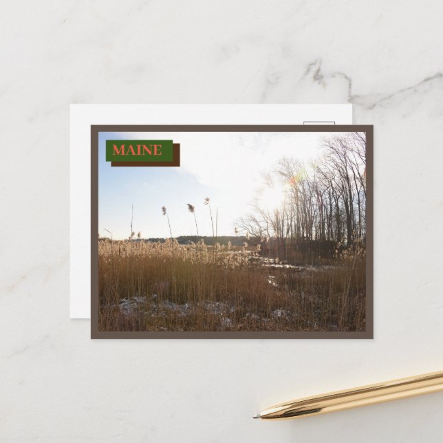 Brown Kittery Seapoint Beach Maine Nature Vykort (Fram/Back In Situ)