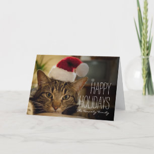 Brown kort-hårig tabby katt helgkort
