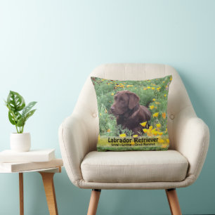 Brown Labrador-Hund i poppelbild Kudde