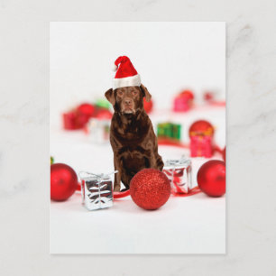 Brown Labrador Hund juljul med julklappar Santa Ha Helg Vykort
