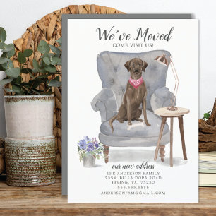 Brown Labrador Retriever Hund   Meddelande om Flyt