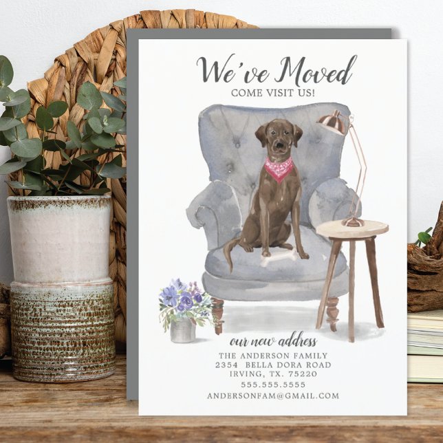 Brown Labrador Retriever Hund | Meddelande om Flyt (Skapare uppladdad)