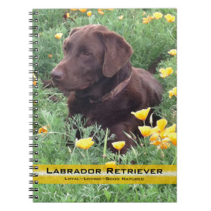 Brown Labrador Retriever in Poppy Patch Photograph Anteckningsbok Med Spiral