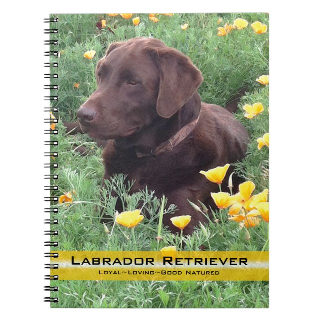 Brown Labrador Retriever in Poppy Patch Photograph Anteckningsbok Med Spiral (Framsidan)