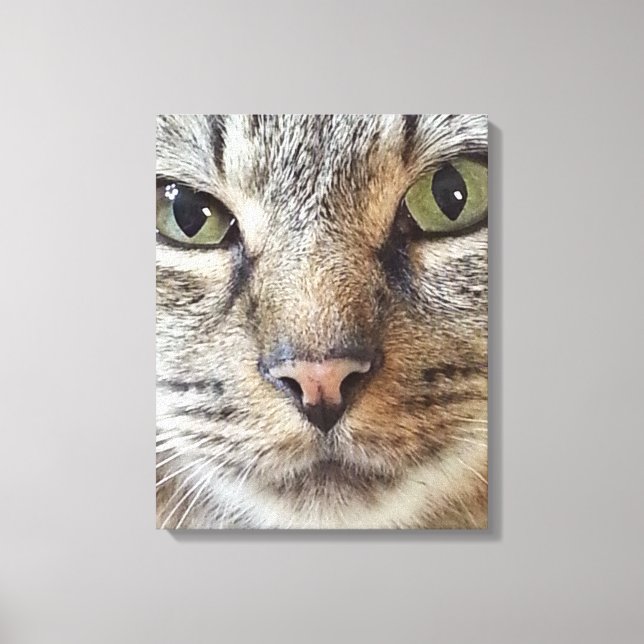 Brown Långhårig Tabby katt Canvastryck (Framsida)