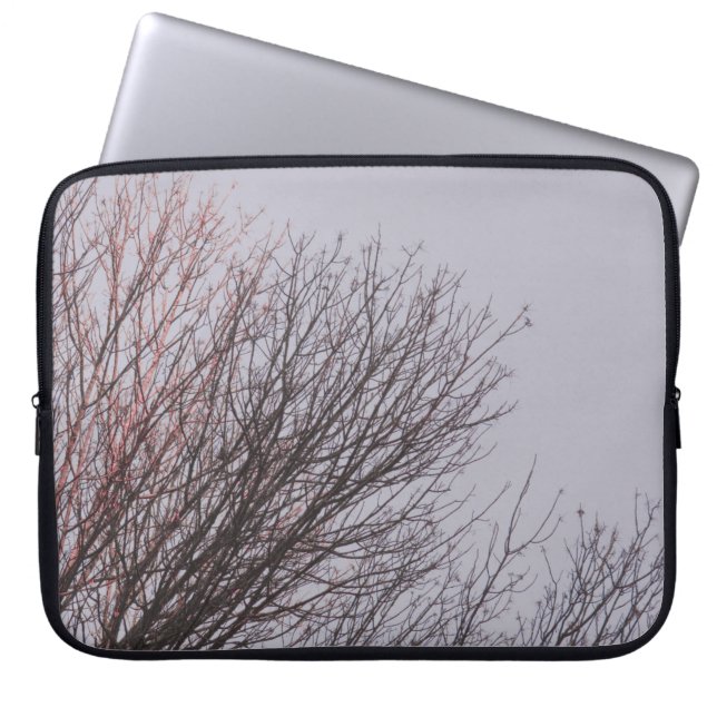BROWN LEAFLESS TRÄD UNDER WHITE HIMLAR LAPTOP FODRAL (Framsidan)