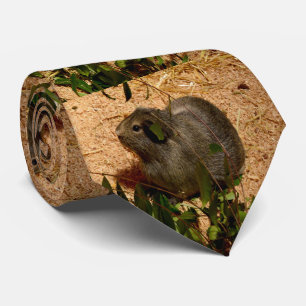 Brown Little Guinea Gris Slips