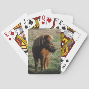 Brown Miniature Horses Casinokort