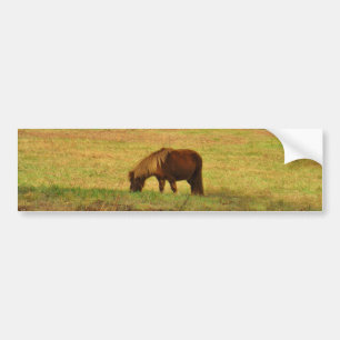 Brown miniature Pony Bildekal