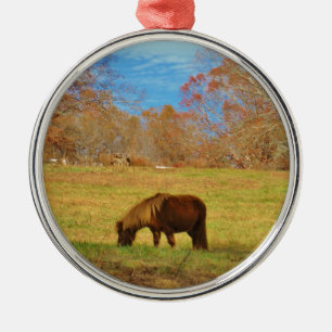 Brown miniature Pony Julgransprydnad Metall