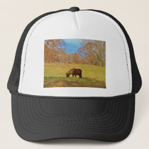Brown miniature Pony Keps