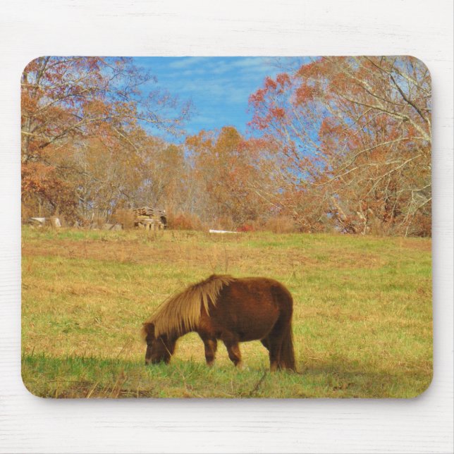 Brown miniature Pony Musmatta (Framsidan)