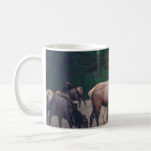 BROWN MOOSE NÄRA GRÖNTEN TRÄD VID DAGTIDEN KAFFEMUGG