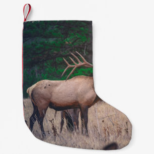 BROWN MOOSE NÄRA GRÖNTEN TRÄD VID DAGTIDEN LITEN JULSTRUMPA