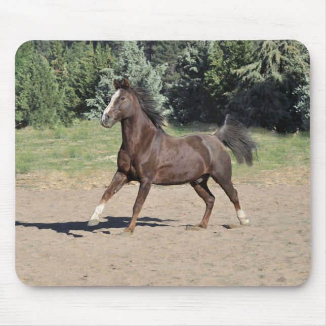 Brown Morgan Horse Running Mouse Pad Musmatta (Framsidan)