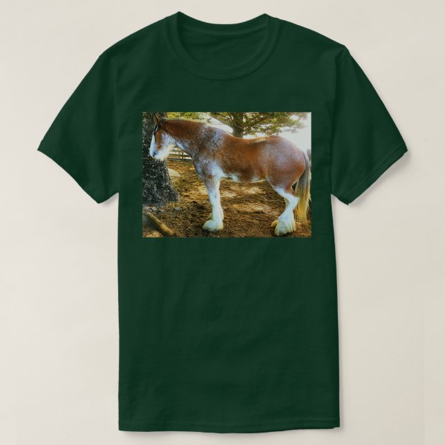 Brown Mottled Clydesdale Horse 1 T Shirt (Design framsida)