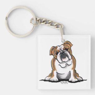 Brown n White English Bulldog Sit Söt